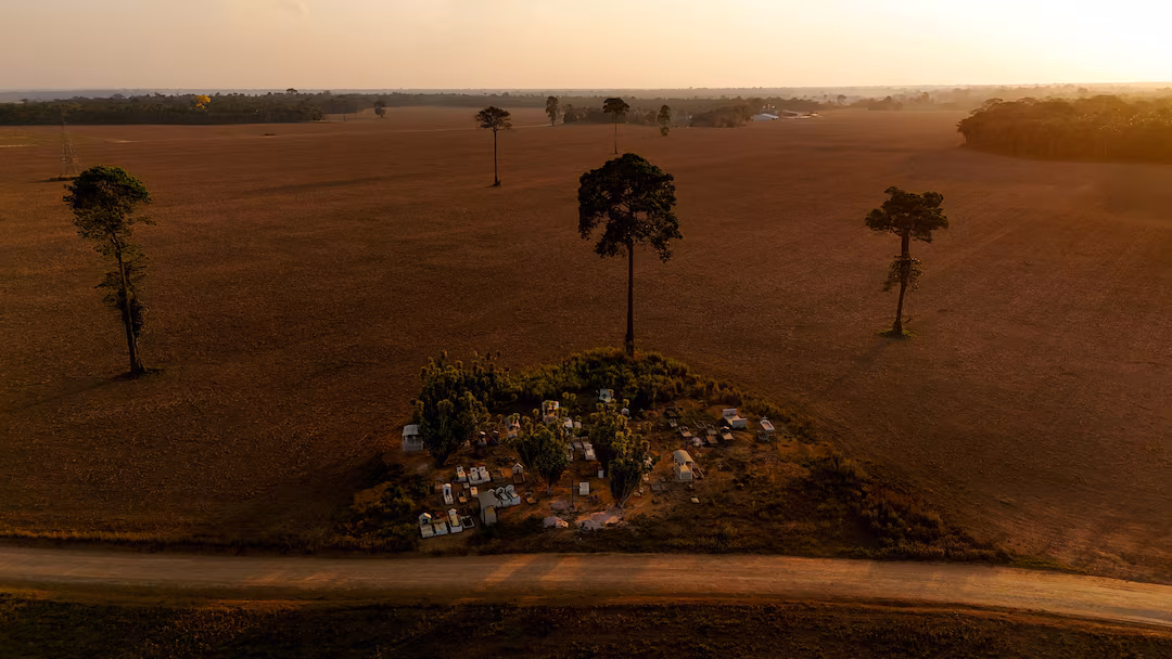 Inside America's New Wave of Small-Town Revivals