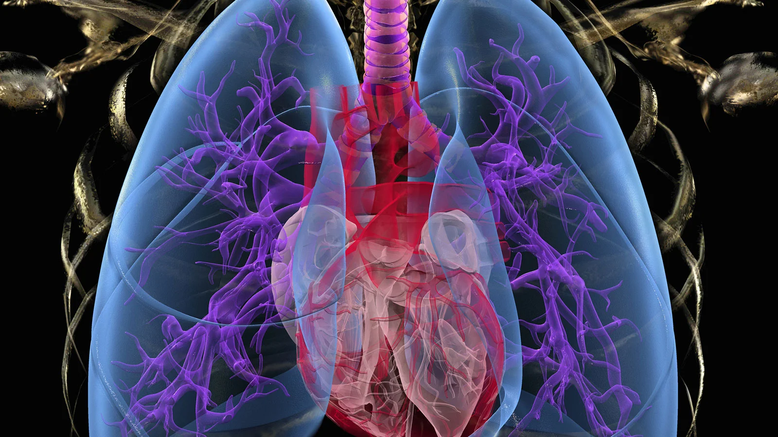 CDC Issues Updated Seasonal Guidance for Respiratory Health