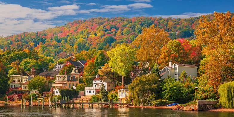 A Couple's Countryside Retreat: 'We'd Never Leave the City for Anywhere Else'