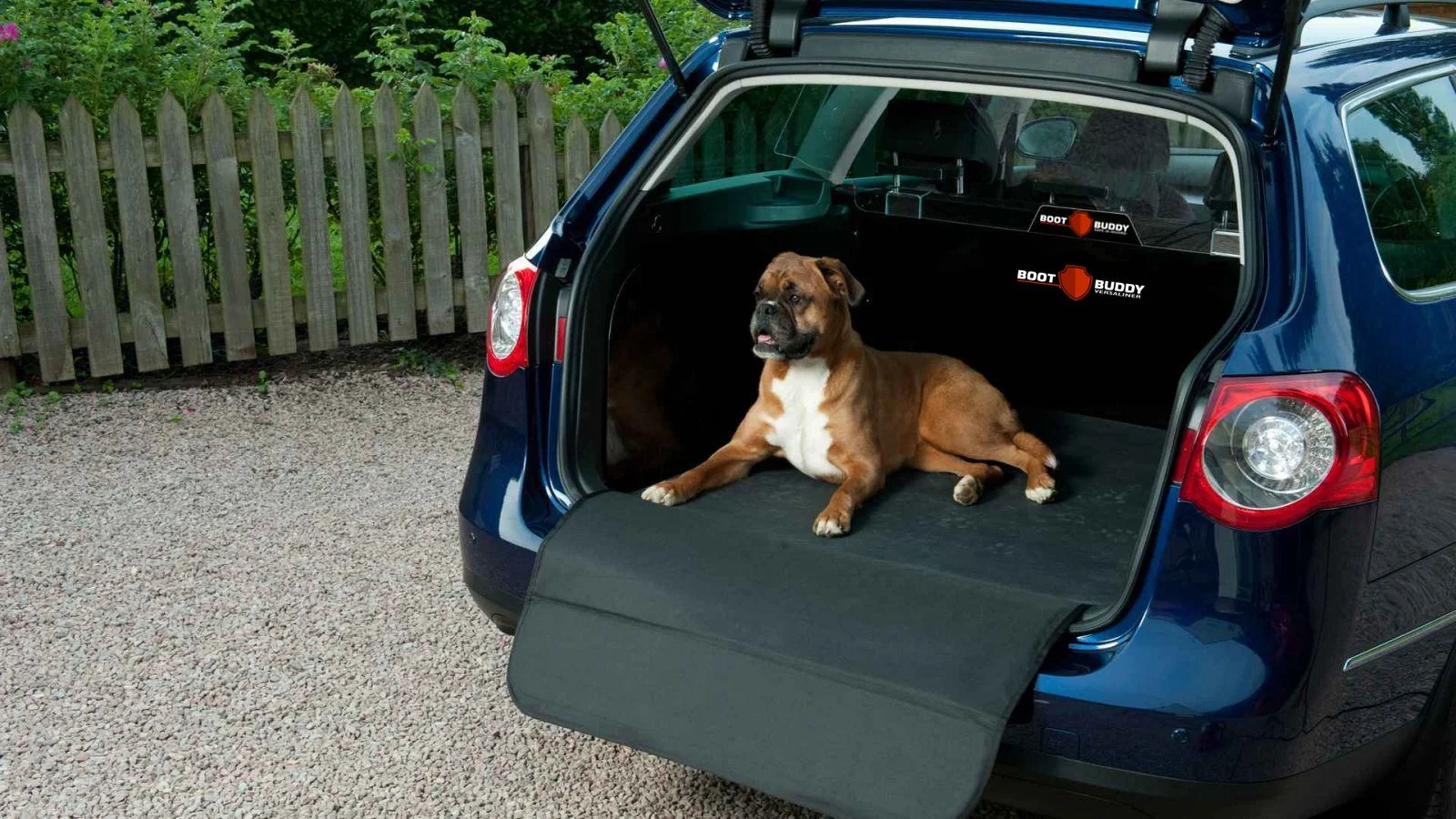 Still Unsure How to Safely Transport Your Dog in the Car?